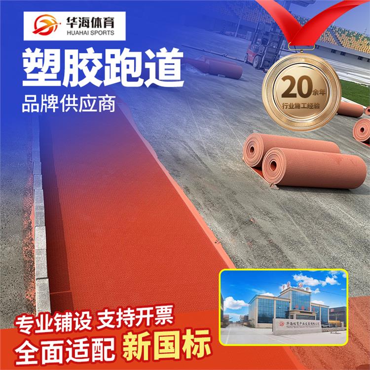 潮州市半预制跑道学校塑胶跑道 - 排名