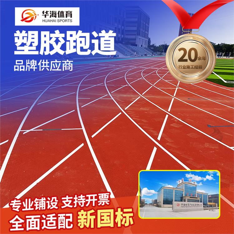 潮州市人造草坪预制型橡胶跑道 - 排名